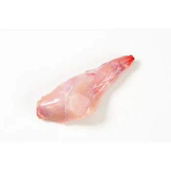 raw rabbit leg isolated on white background